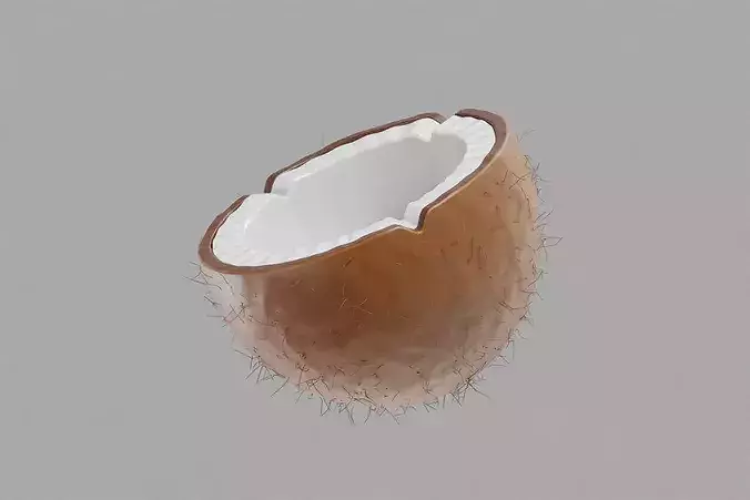 Coconut Inner Low-poly 3D model 4