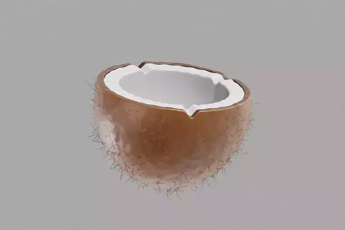 Coconut Inner Low-poly 3D model 3