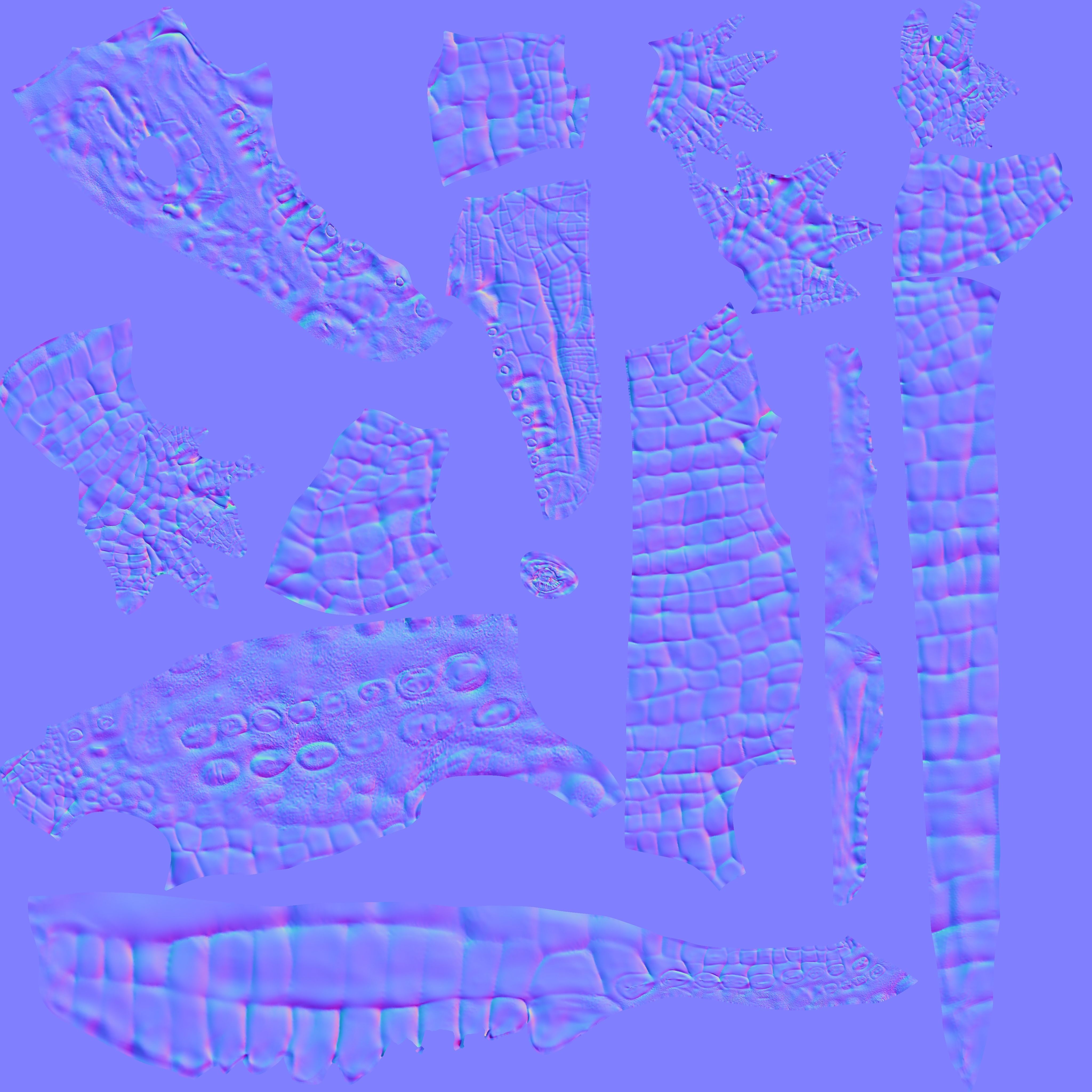 Low Poly Crocodile Low-poly 3D model_15