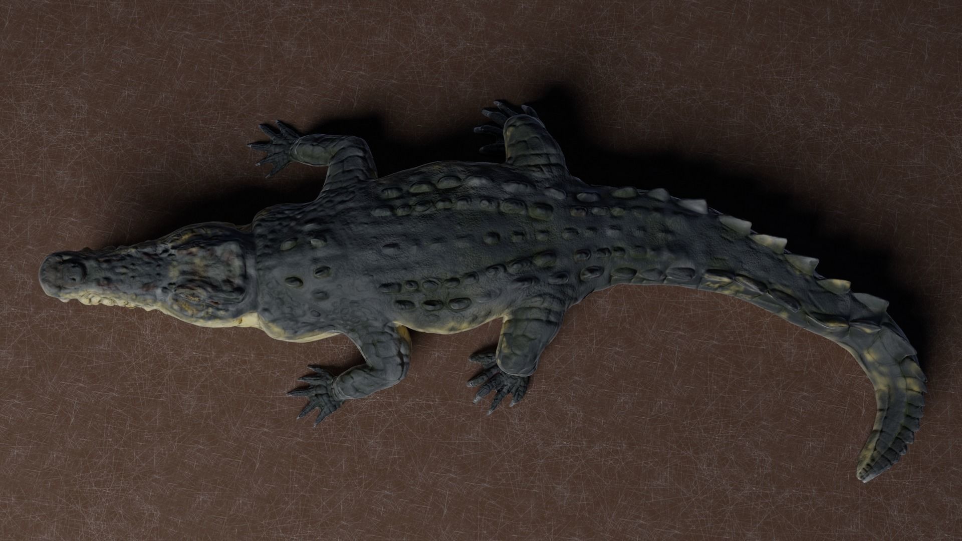 Low Poly Crocodile Low-poly 3D model_5