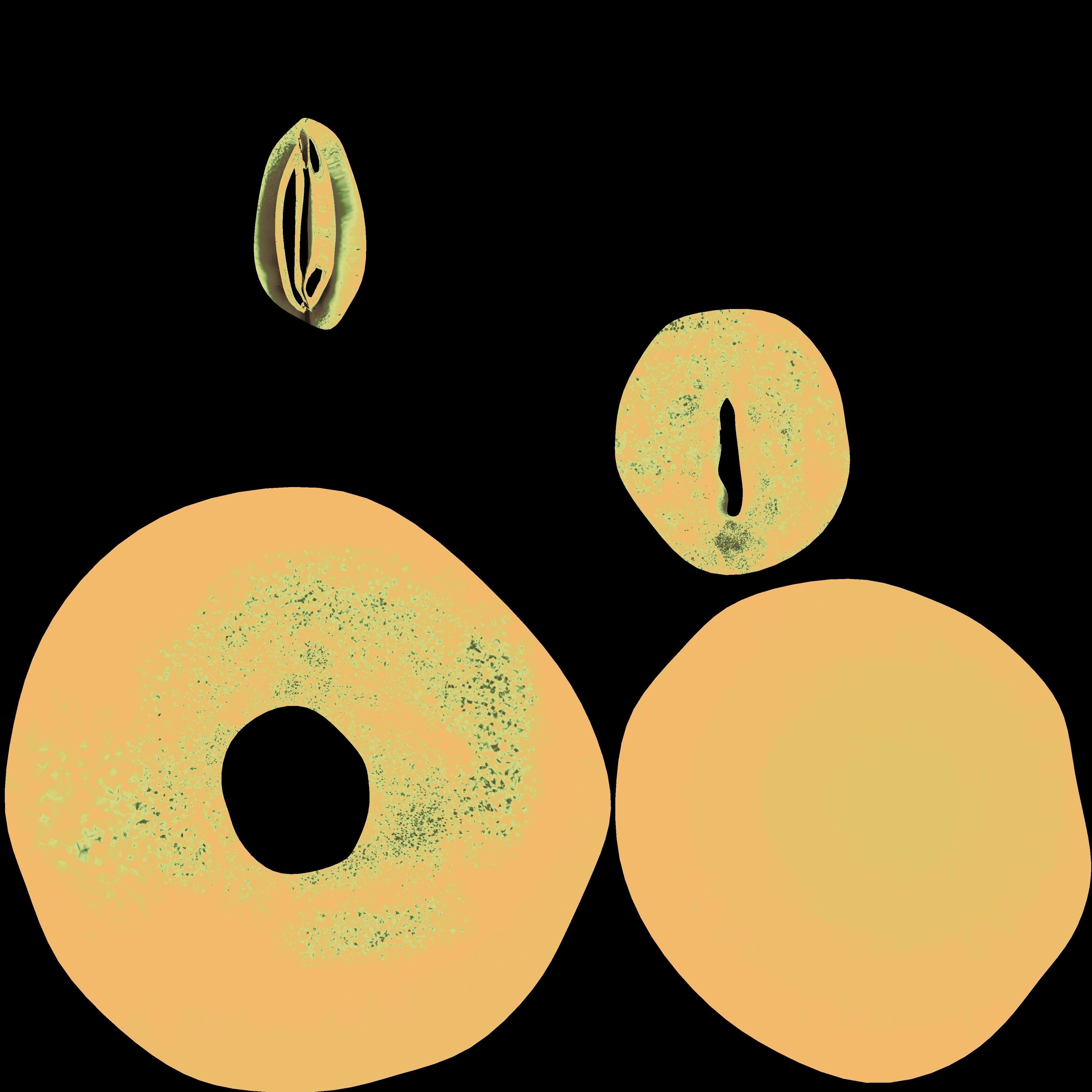 Low Poly Crocodile Low-poly 3D model_14