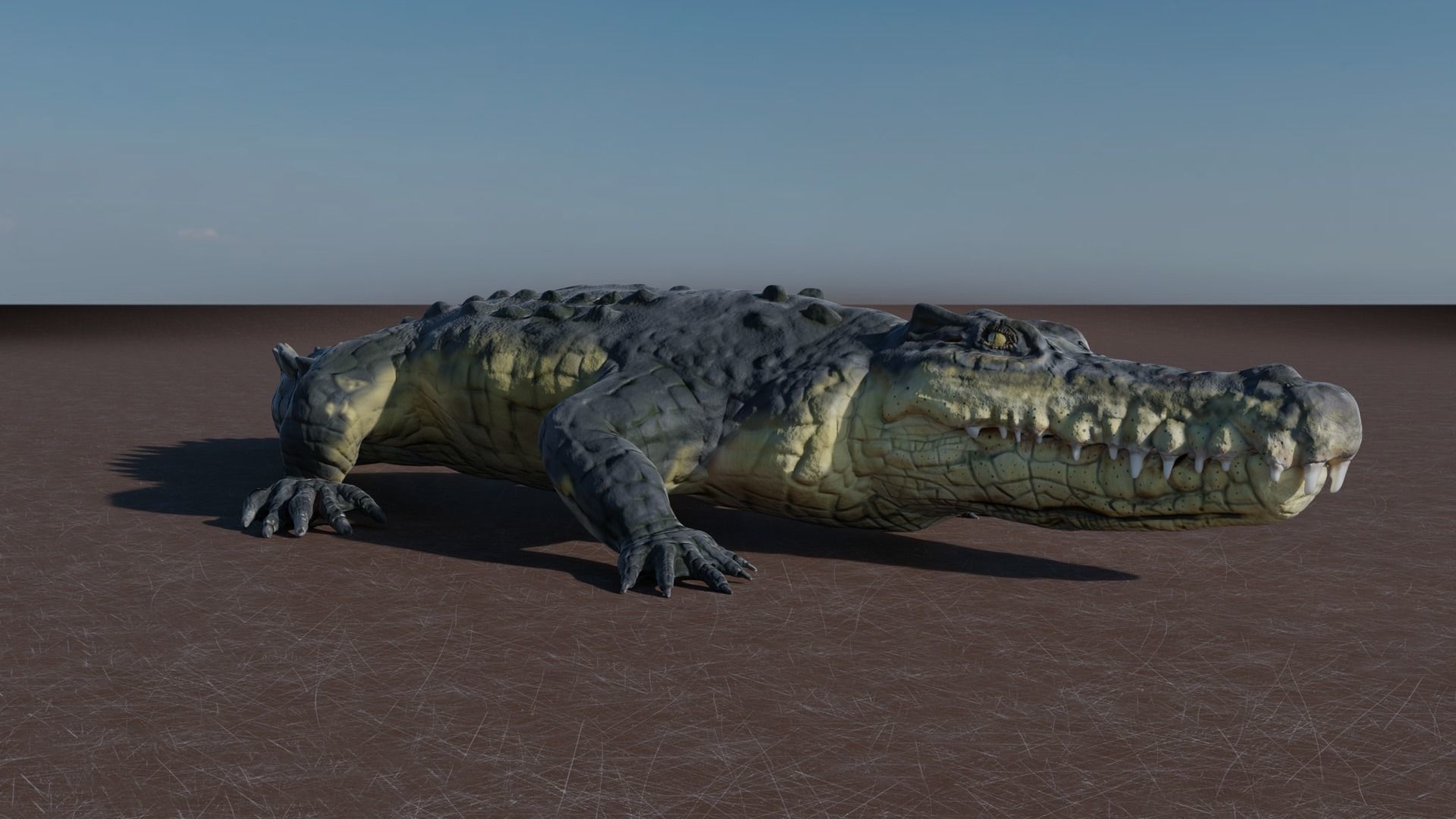 Low Poly Crocodile Low-poly 3D model_3