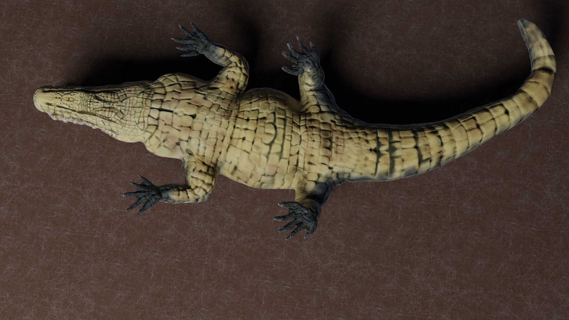 Low Poly Crocodile Low-poly 3D model_6