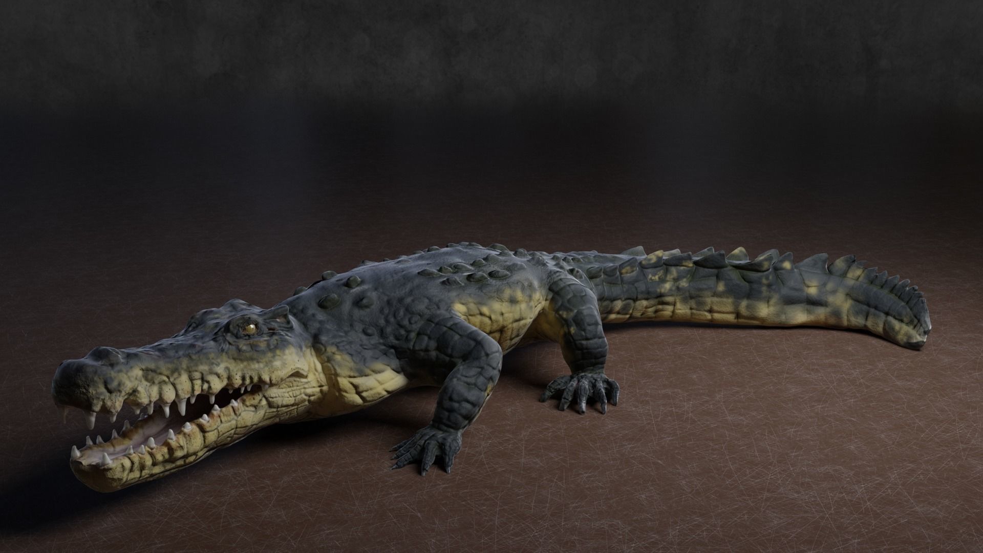 Low Poly Crocodile Low-poly 3D model_2