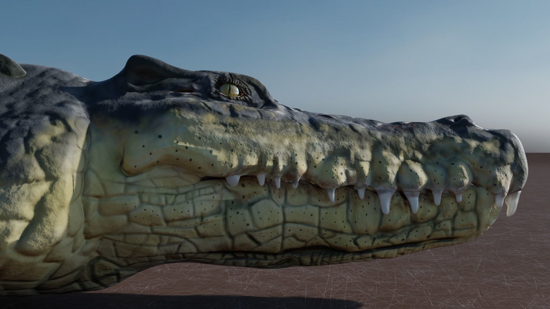 Low Poly Crocodile Low-poly 3D model_1
