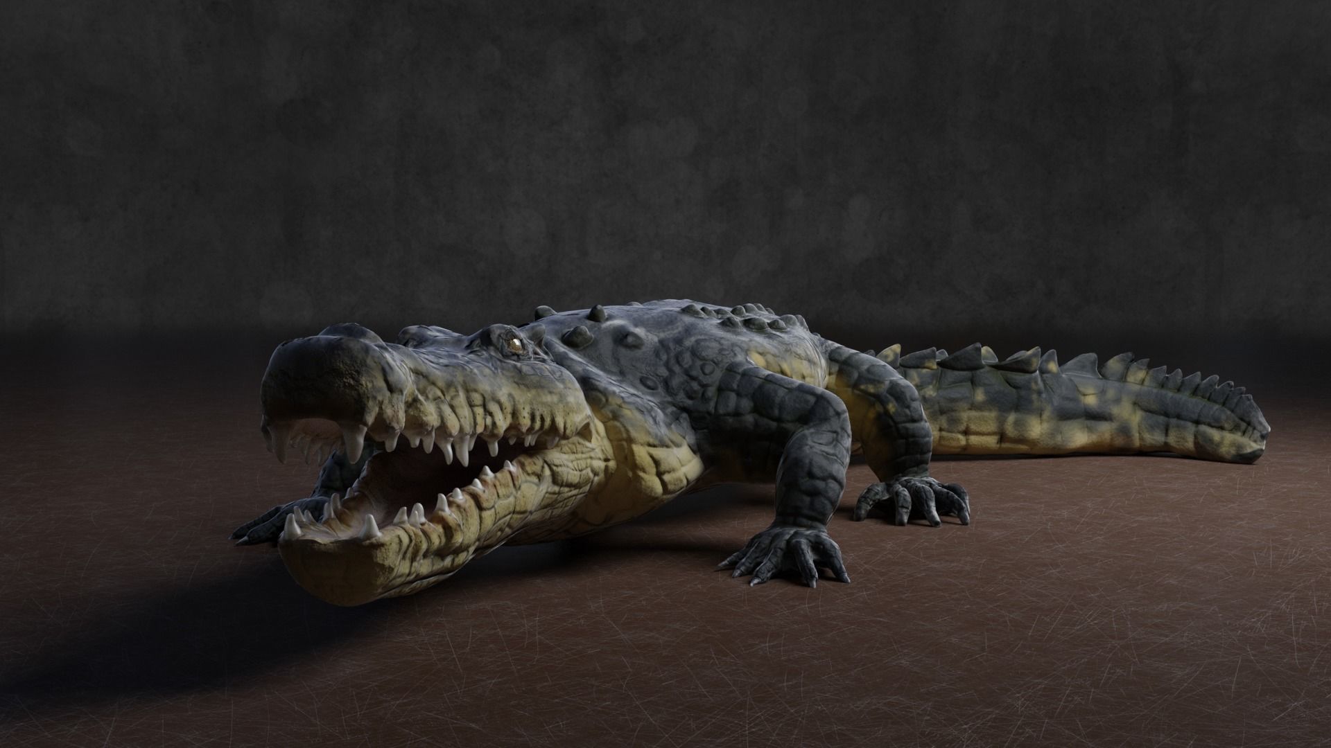 Low Poly Crocodile Low-poly 3D model_4