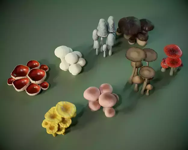 Mushroom PACK PBR Game Ready Low-poly 3D model