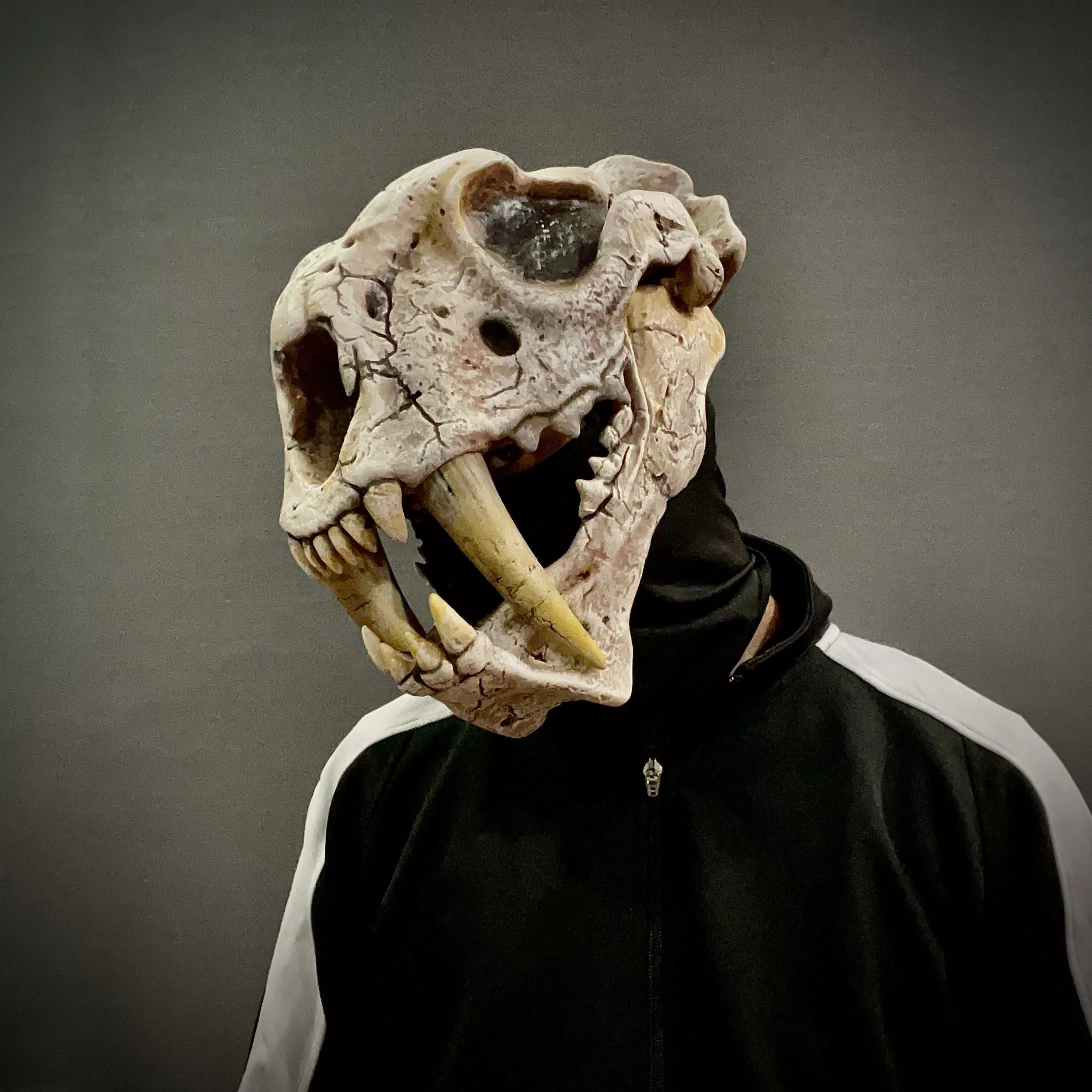 Extinct Megantereon-Saber-Toothed Cat Helmet - Jaw Moveable 3D print model