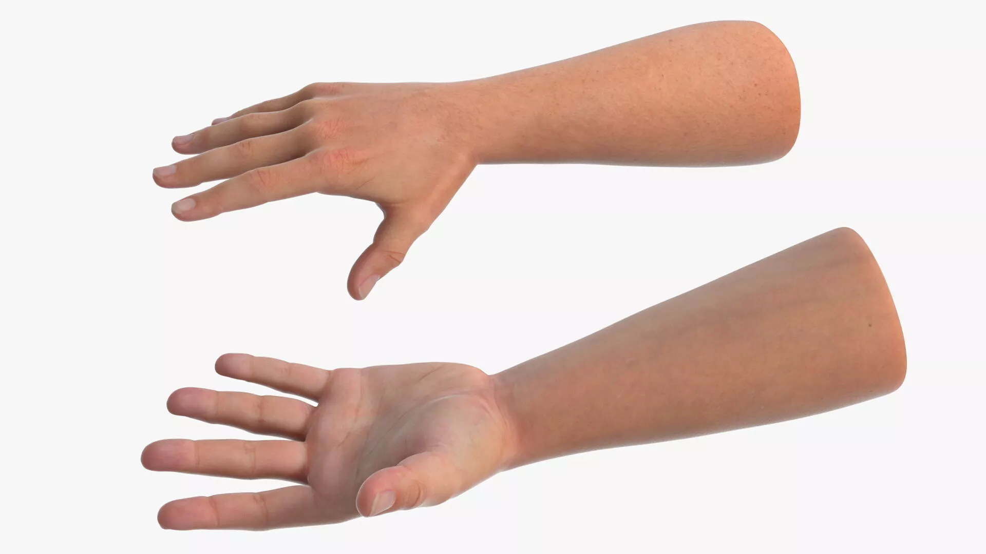 Realistic Male Arm Pair Rigged 3D model
