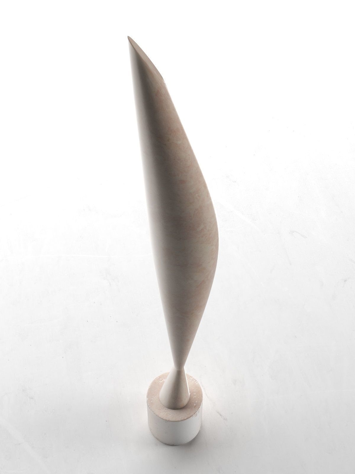 Bird in Space 3D model_1