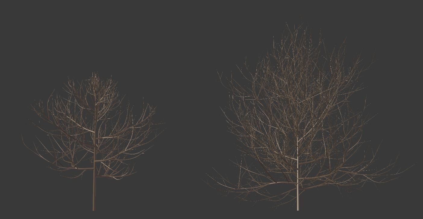 Shrubs plant 3D model_3