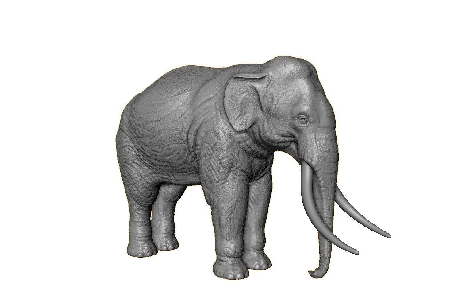 High poly elephant mammoth 3D print model_2