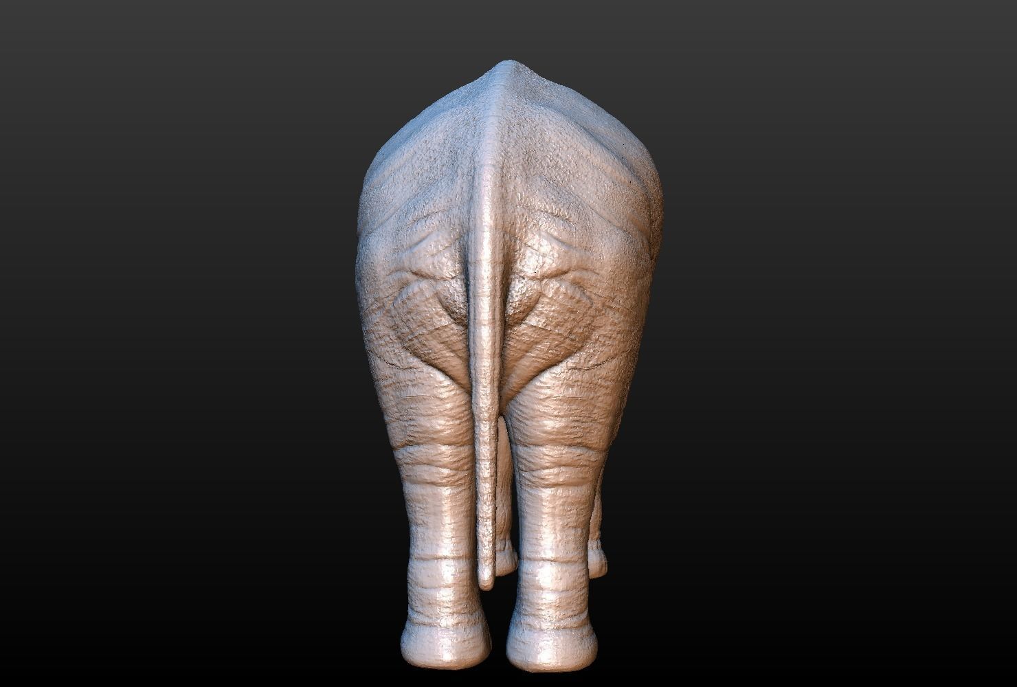 High poly elephant mammoth 3D print model_13