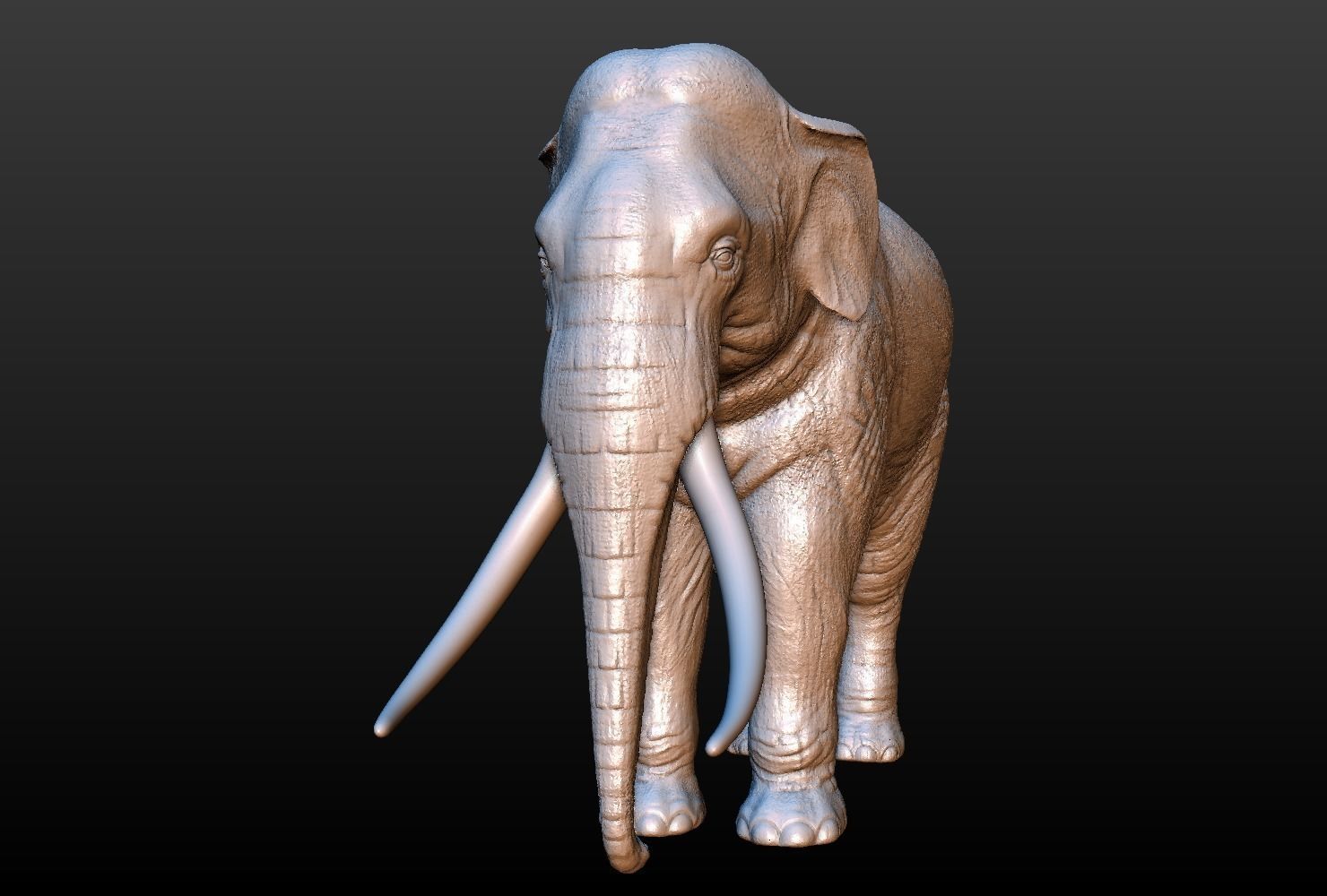 High poly elephant mammoth 3D print model_7