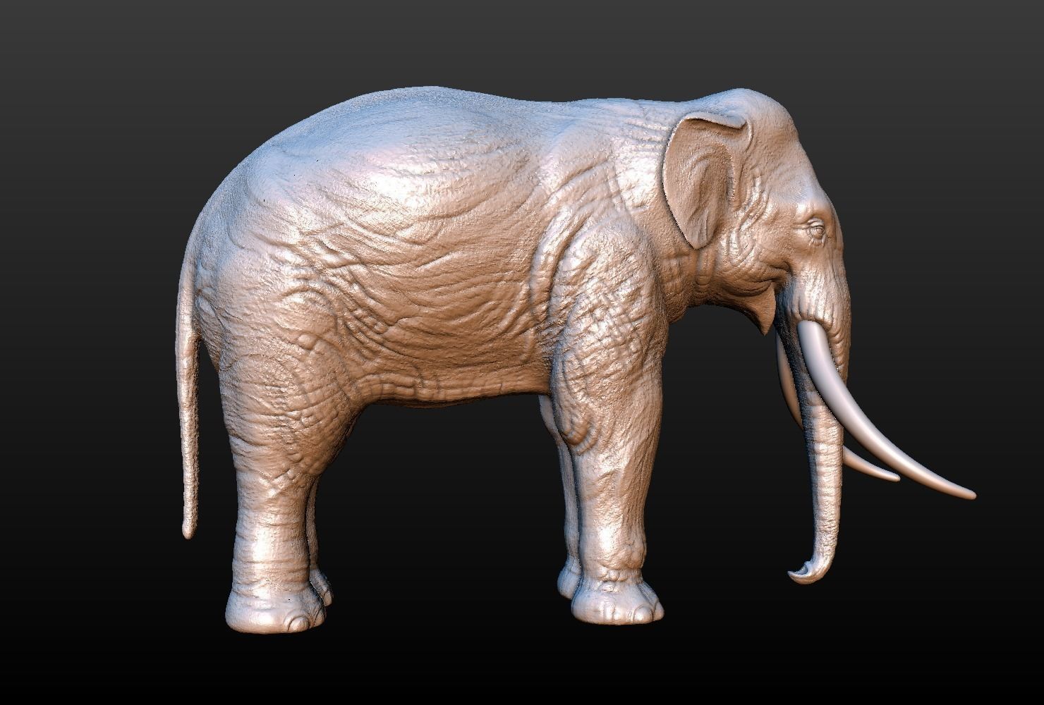 High poly elephant mammoth 3D print model_11