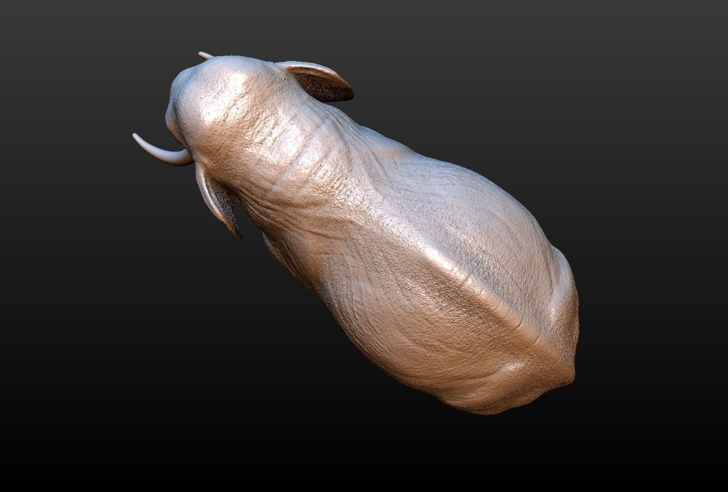 High poly elephant mammoth 3D print model_12
