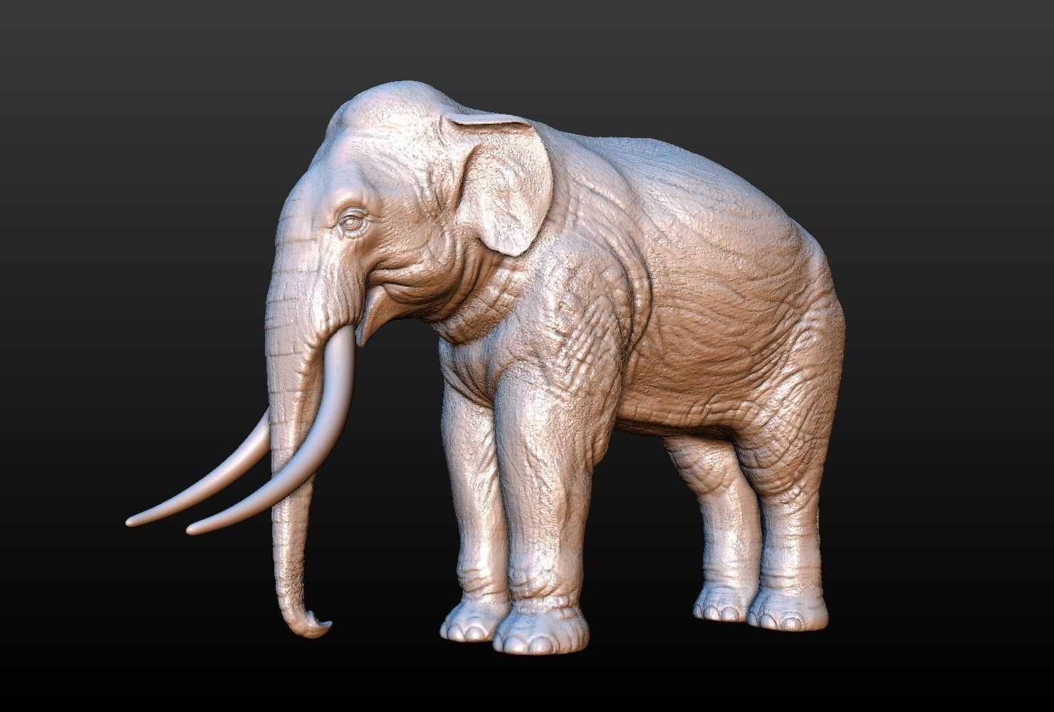 High poly elephant mammoth 3D print model_10