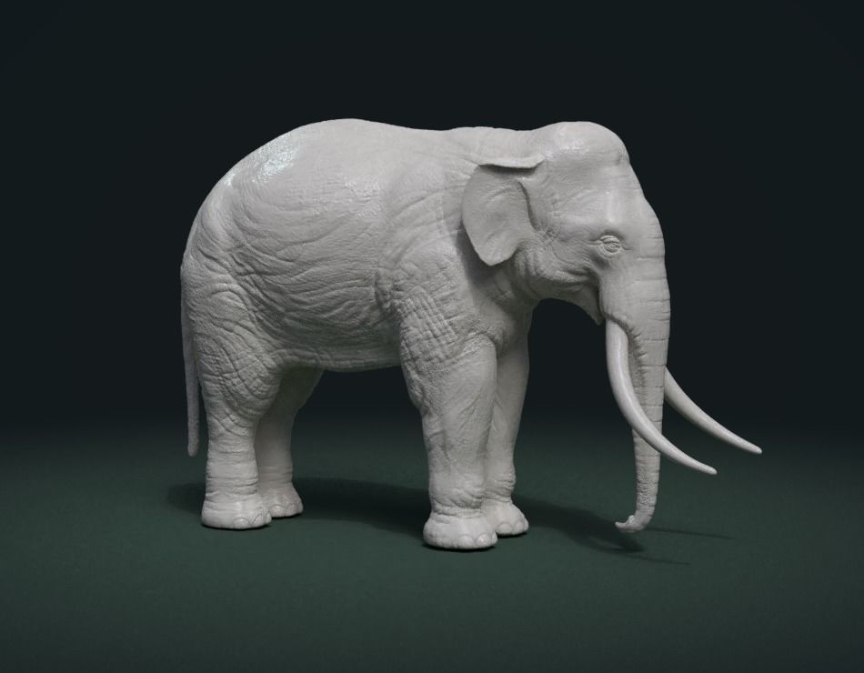 High poly elephant mammoth 3D print model_1
