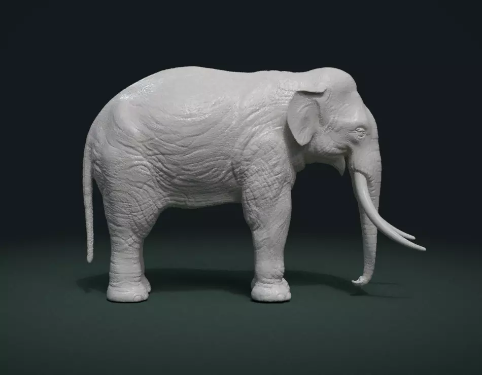 High poly elephant mammoth 3D print model_0