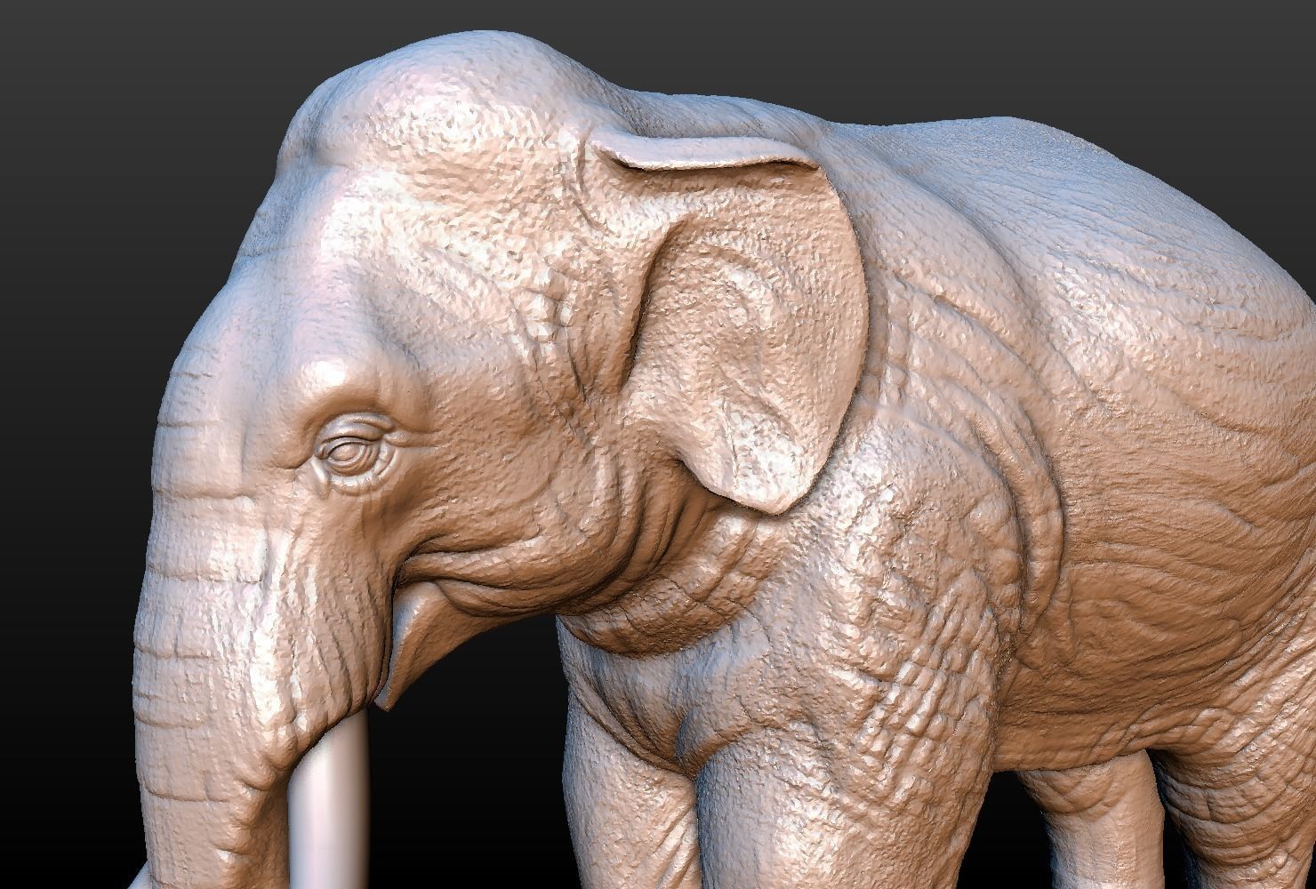 High poly elephant mammoth 3D print model_4