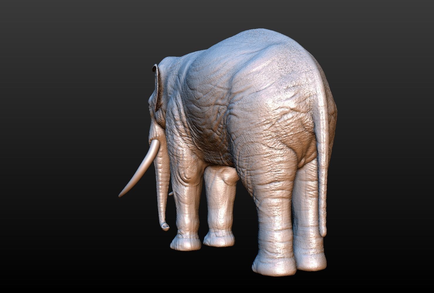 High poly elephant mammoth 3D print model_9