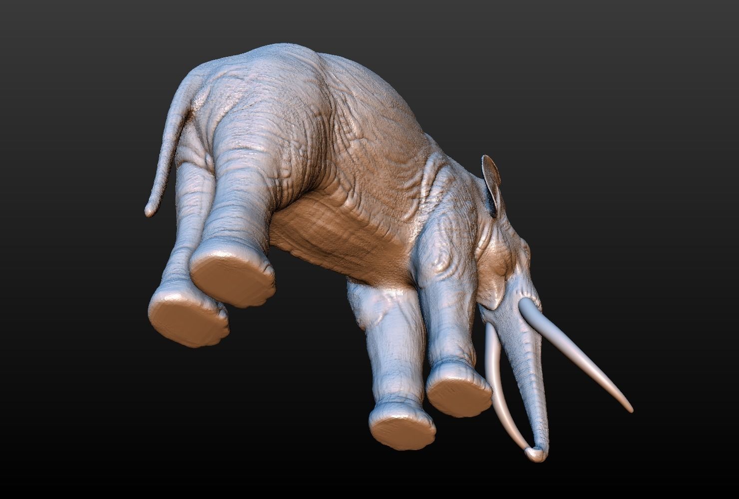 High poly elephant mammoth 3D print model_8