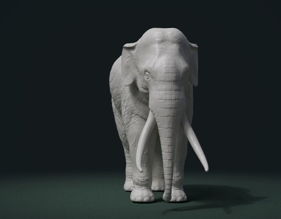 High poly elephant mammoth 3D print model_3