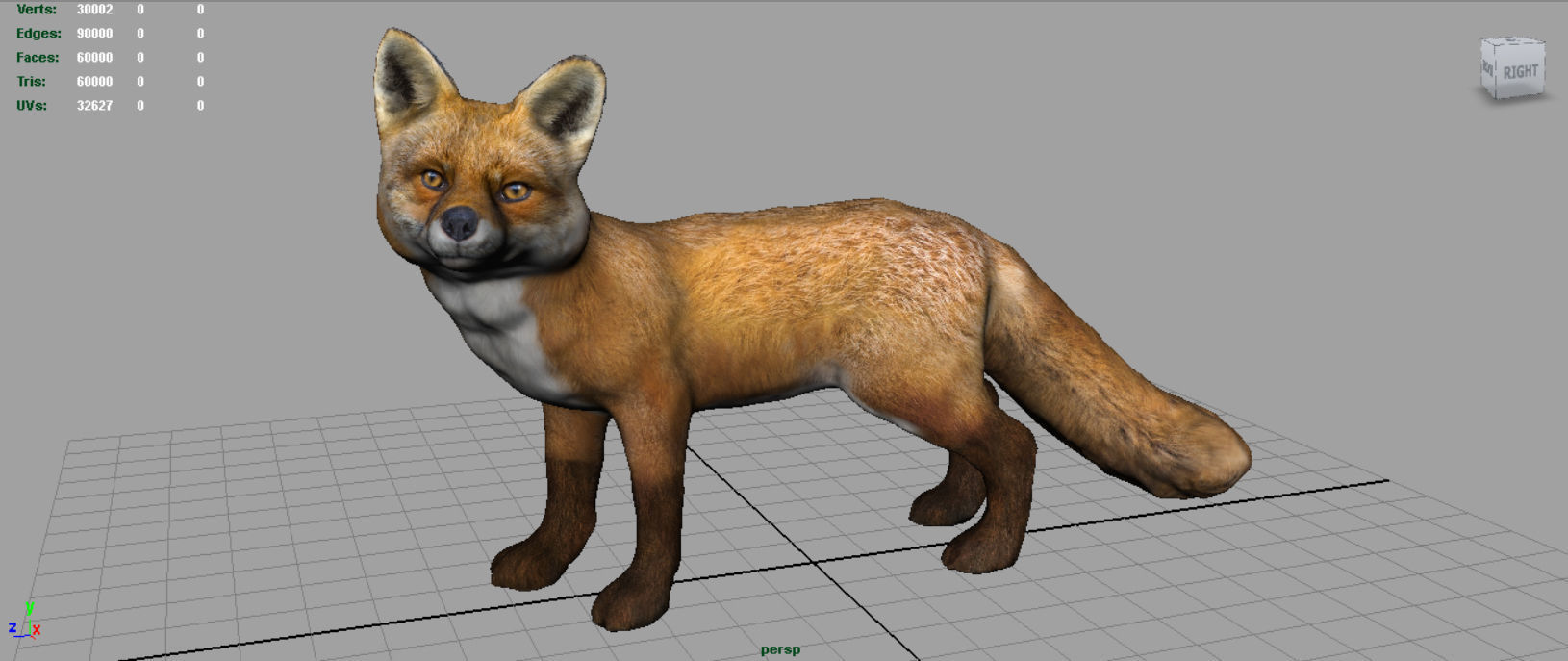 Realistic Fox Low-poly 3D model_2