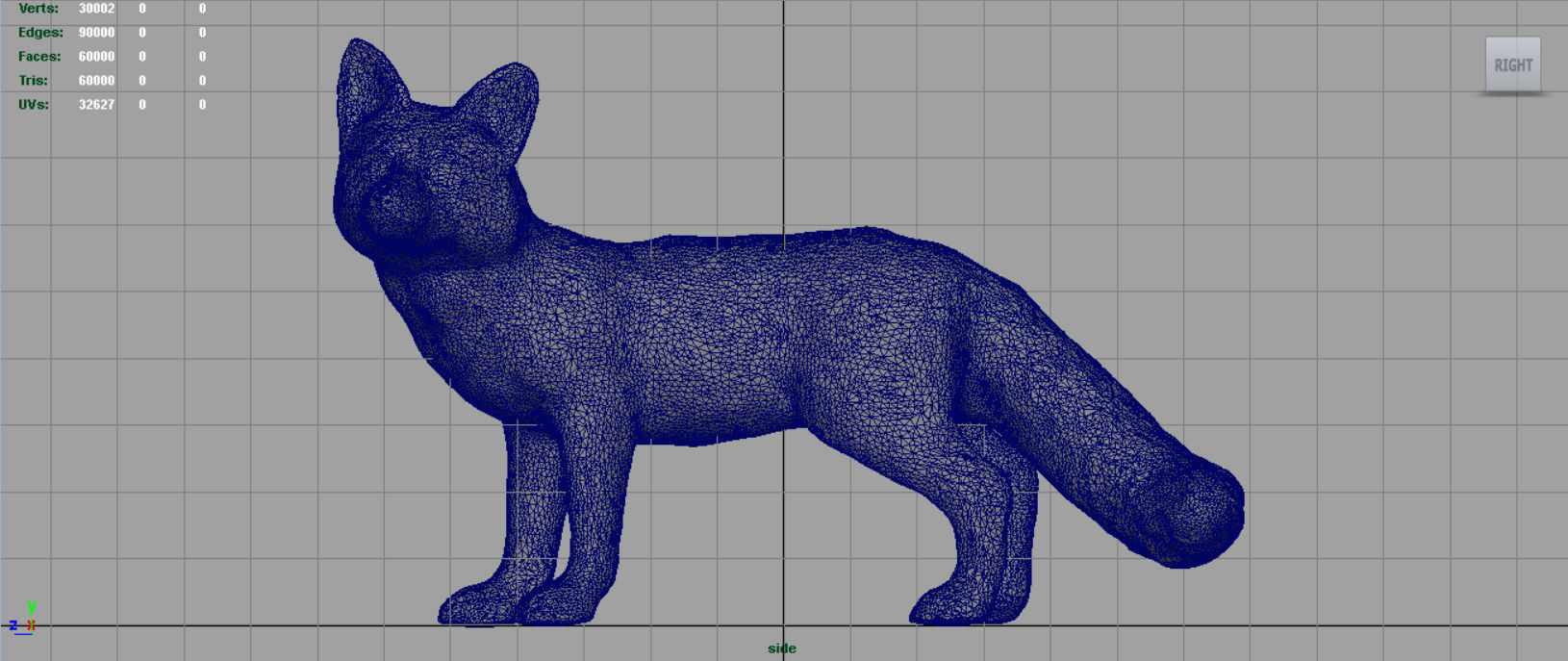 Realistic Fox Low-poly 3D model_13