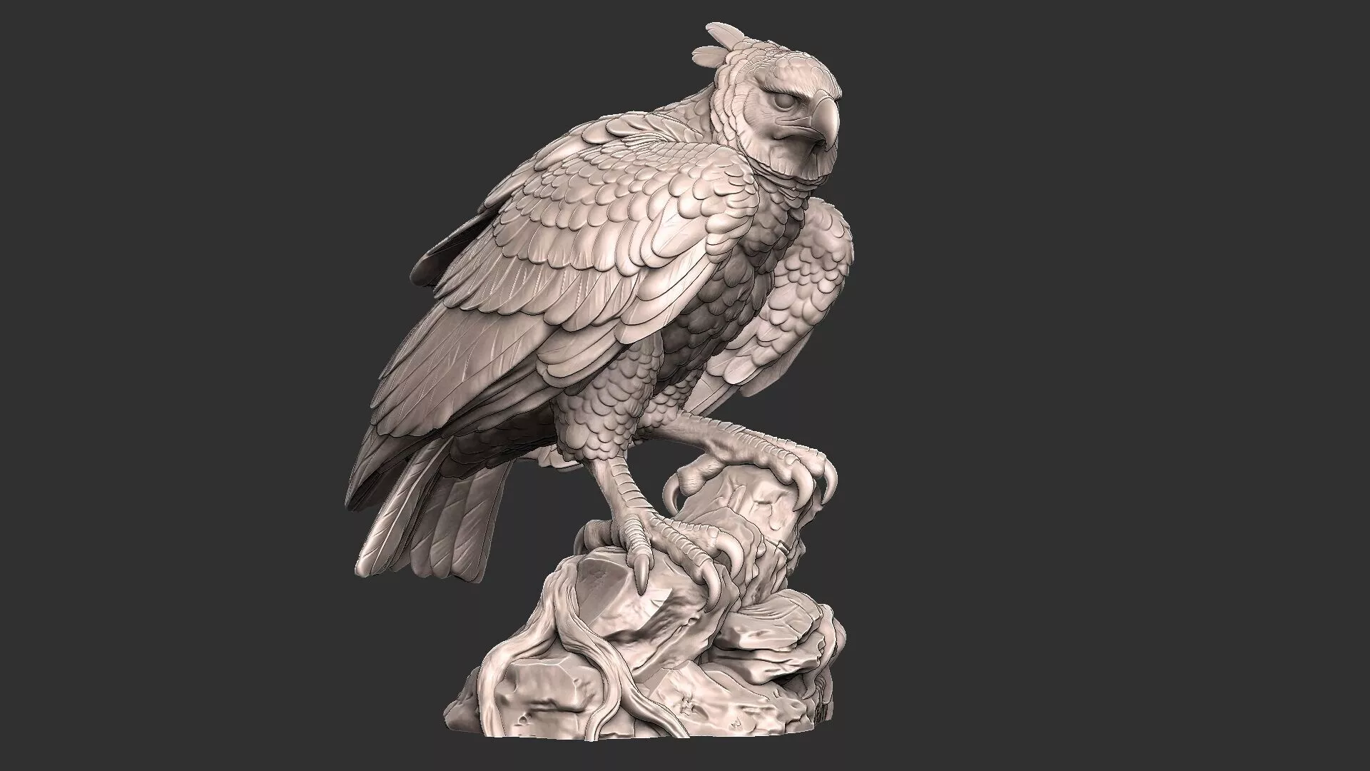 Harpy Eagle - Wildlife - Birds 3D print model