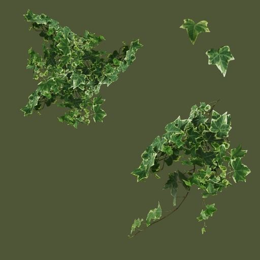 Ivy Clumps with Levels of Detail Low-poly 3D model_14