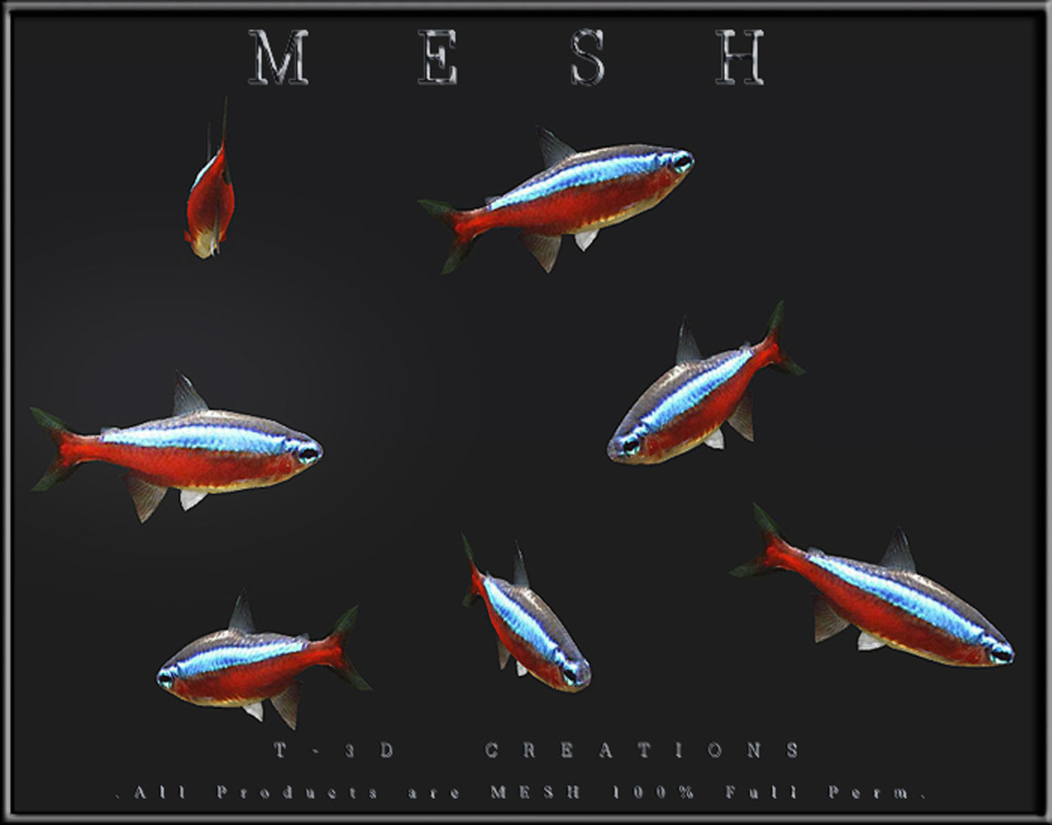 Tetra Fish Low-poly 3D model_1