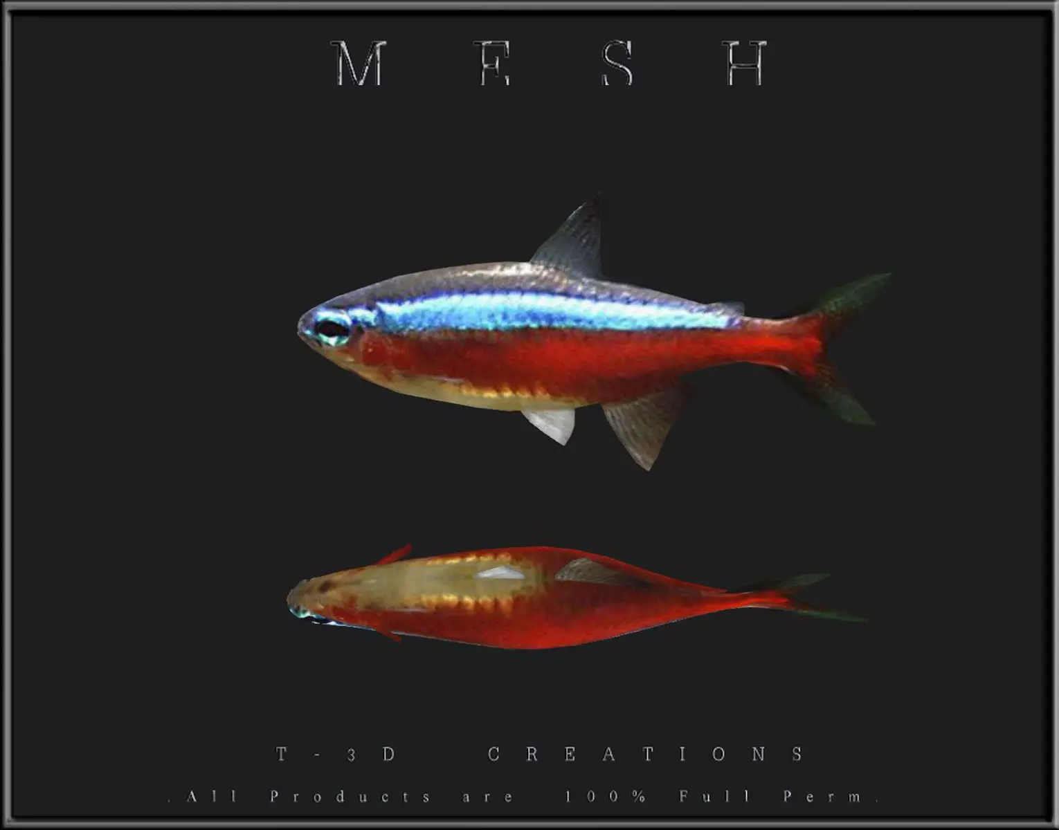 Tetra Fish Low-poly 3D model_0