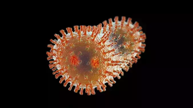 Bacillus Bacteria