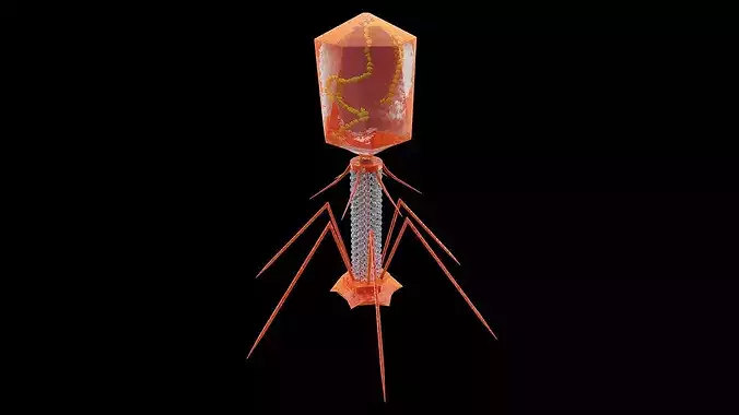 Bacteriophage Virus