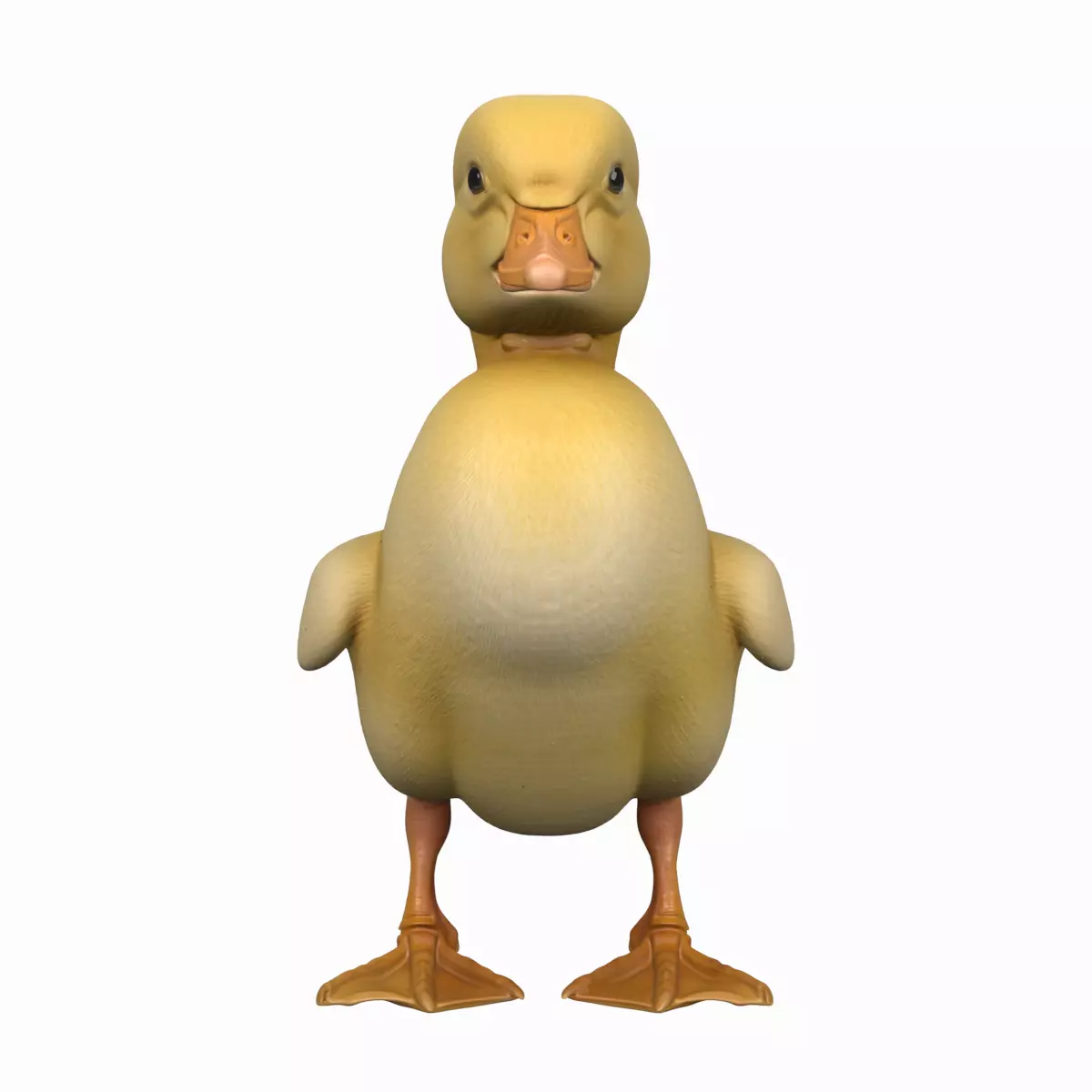 Fluffy Yellow Duckling Standing 3D Model 3D model