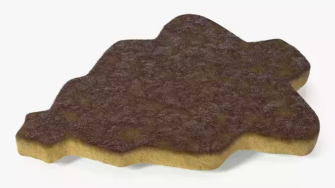 Christmas Tree Cookie with Star 3D model 6