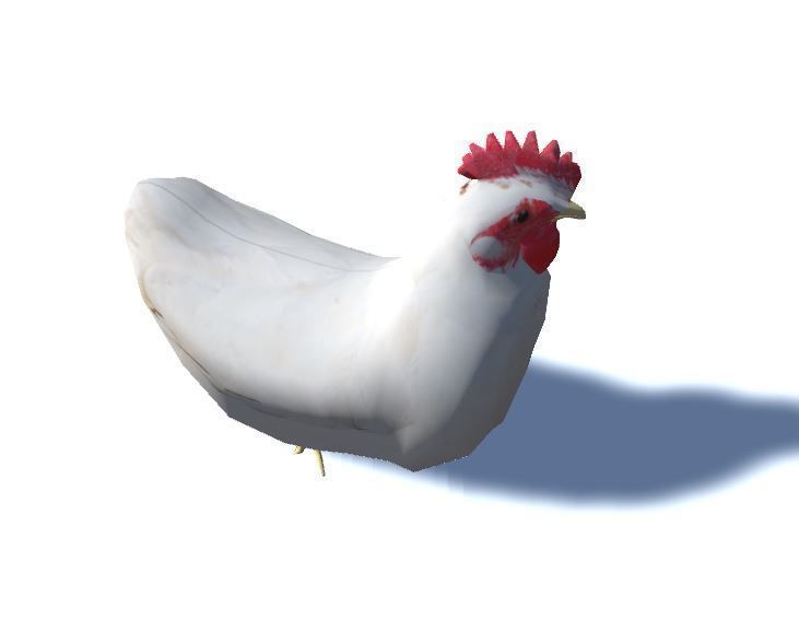 White Chicken - Animated Low Poly Low-poly 3D model_4