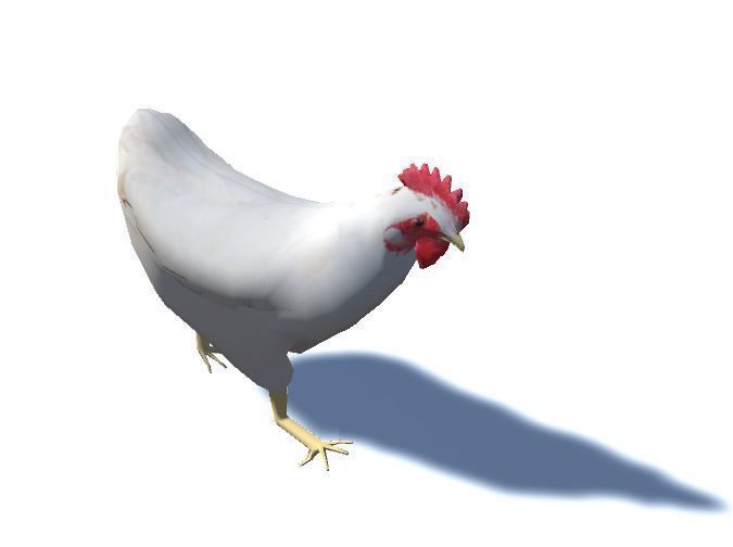 White Chicken - Animated Low Poly Low-poly 3D model_5