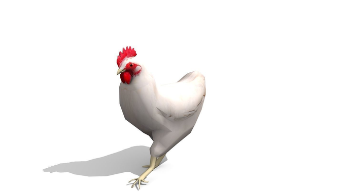 White Chicken - Animated Low Poly Low-poly 3D model