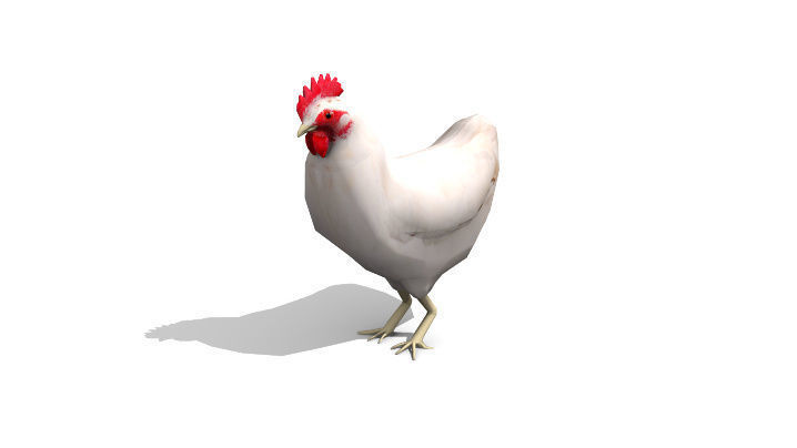 White Chicken - Animated Low Poly Low-poly 3D model_2