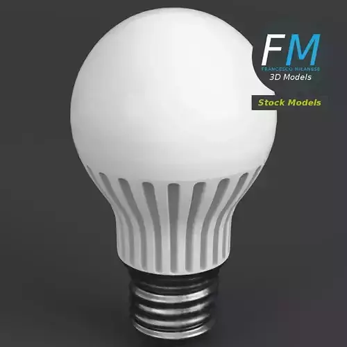Florescent LED light bulb lamp