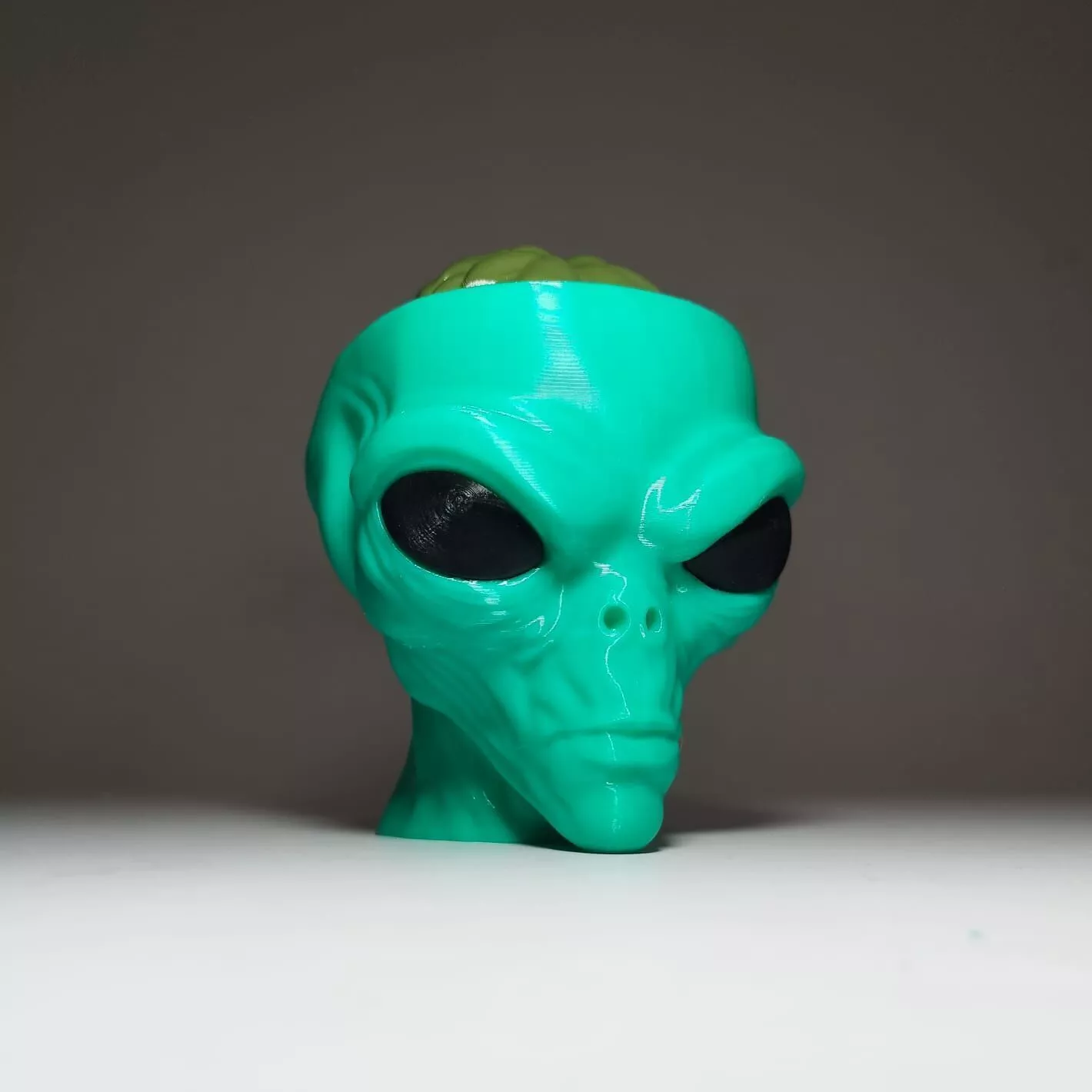 removable brain Multiparts decorative statue NO AMS 3D print model