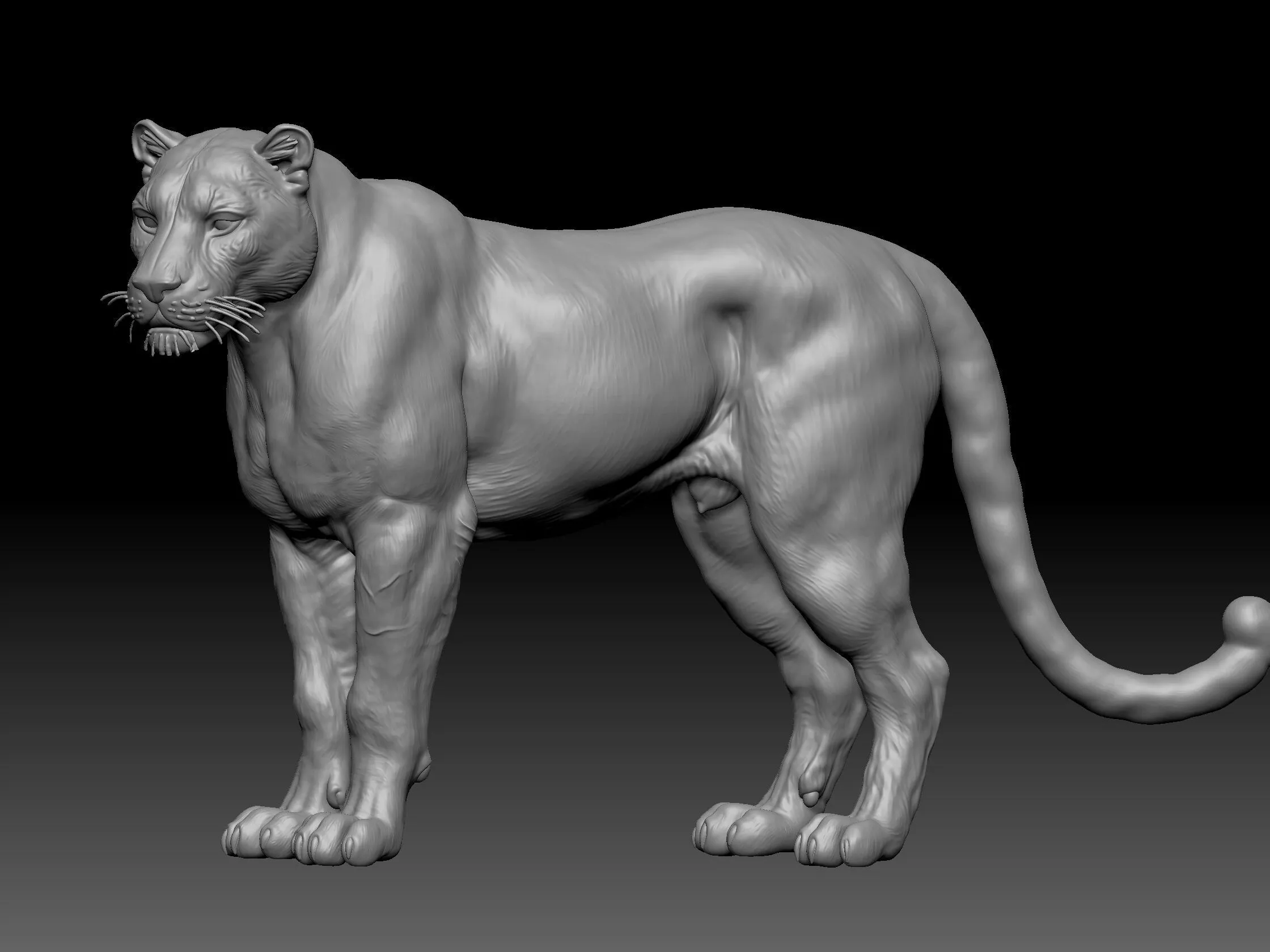 panther or jaguar 3D print model