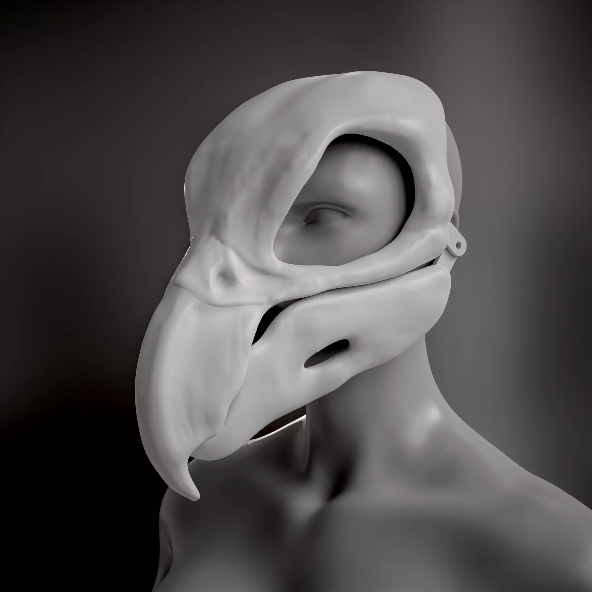 Bird Skull Mask STL Articulated Jaw 3D print model