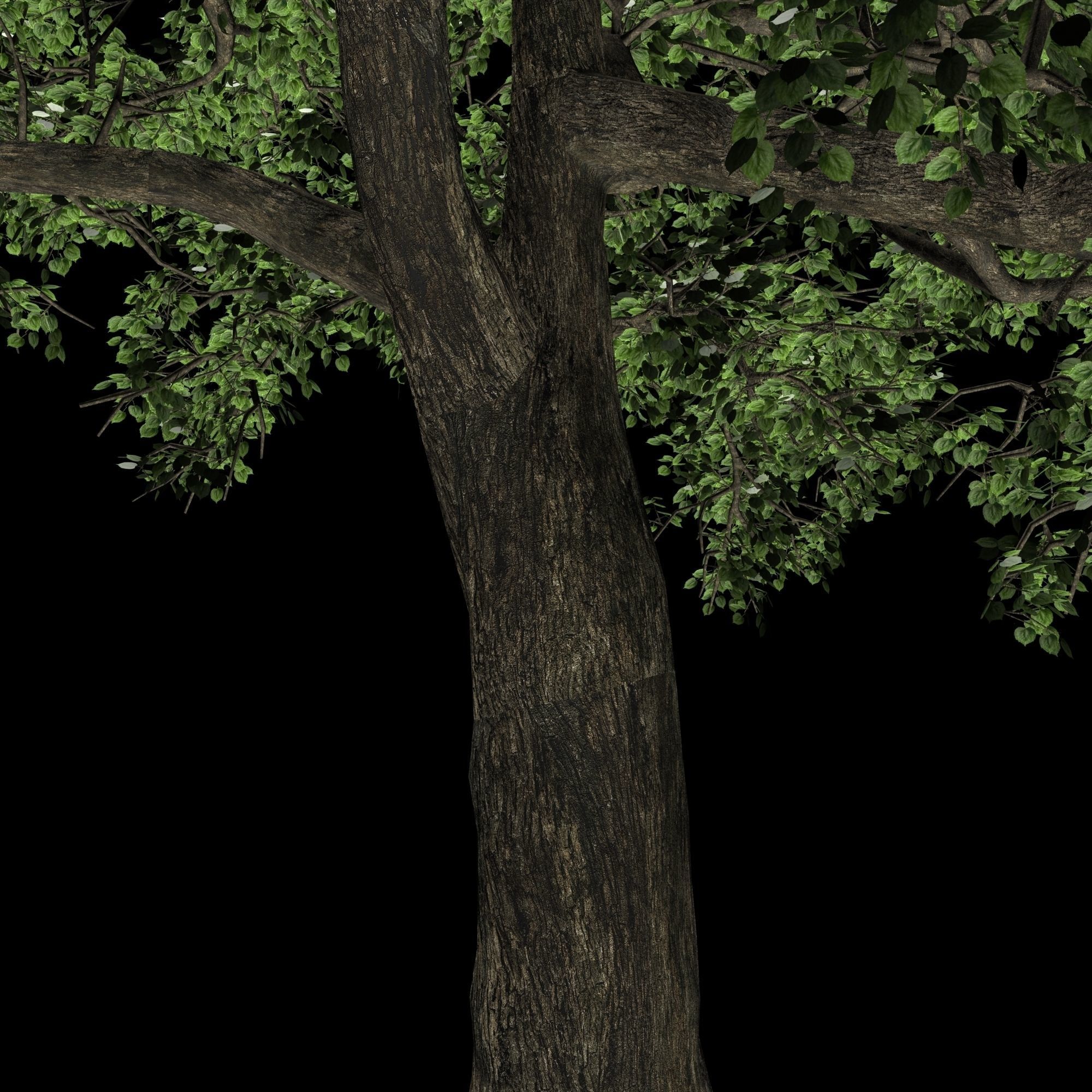 Tree green high poly 3D model_1