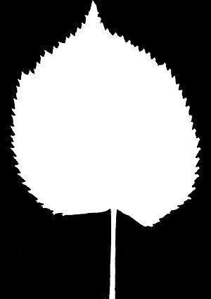 Tree green high poly 3D model_3