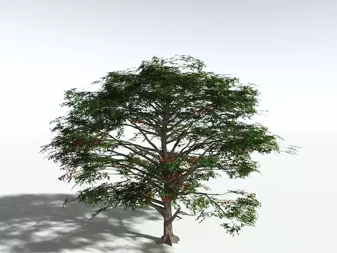 EVERYPlant Sea Almond