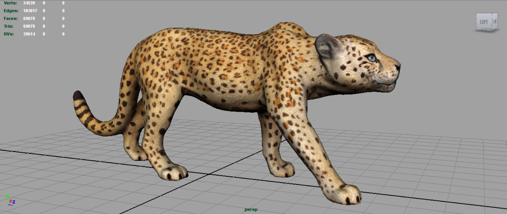 JAGUAR cheetah 3D model_3