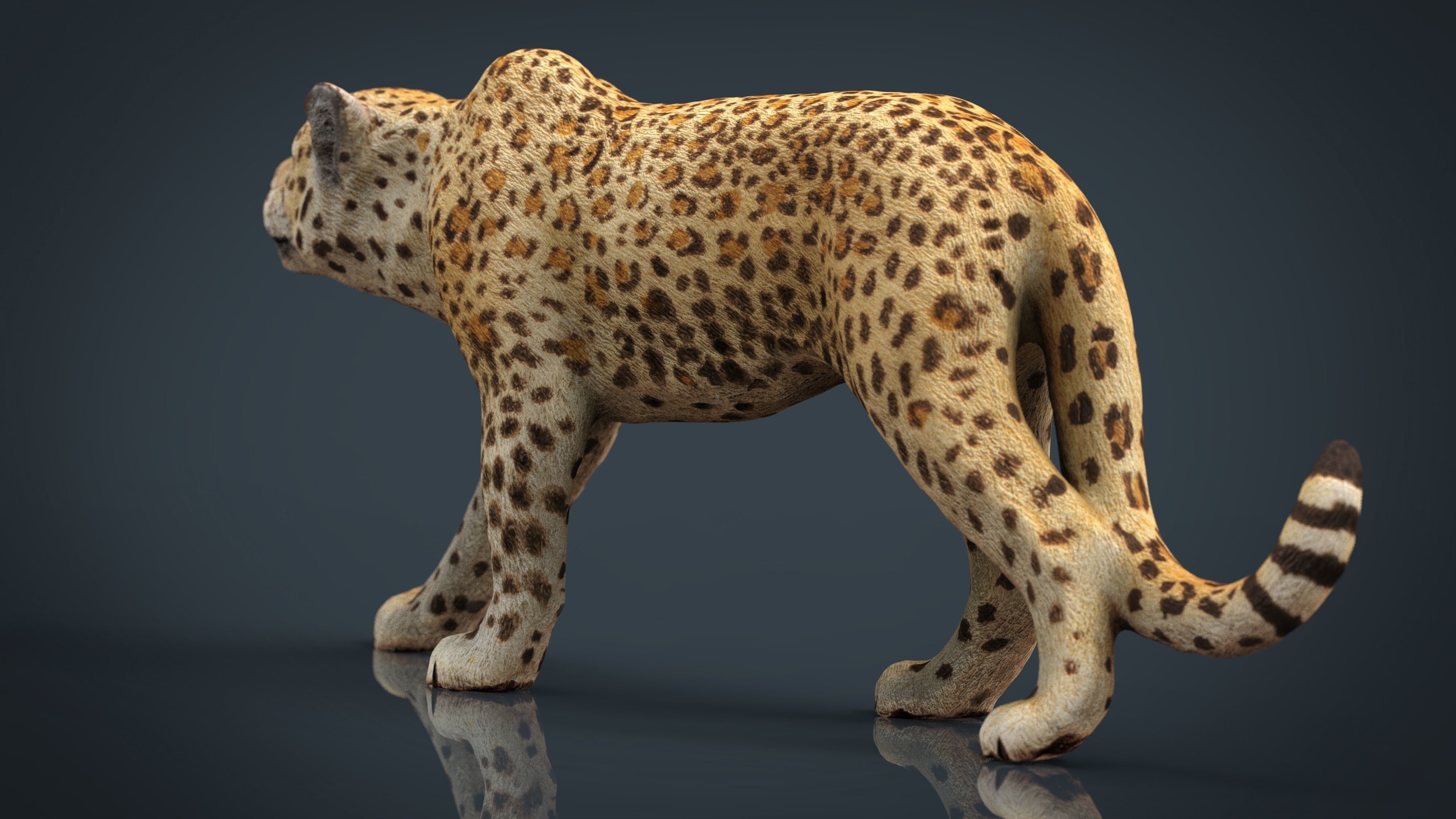 JAGUAR cheetah 3D model_15